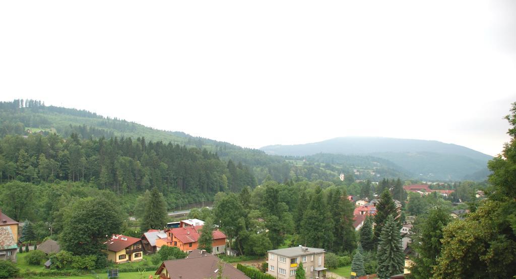 Apartament Gorski Widok - Mountain View Apartment Wisla Luaran gambar